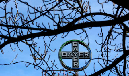 Firmenlogo von Bayer in Wuppertal