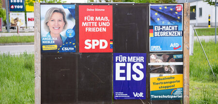 Will ganz oben mitmischen: AfD (Wahlwerbung in München, 28.4.202...