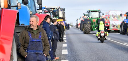 Machtdemonstration auf der Straße: Bauernprotest in der dänische...