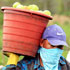 Beilage: land & wirtschaft