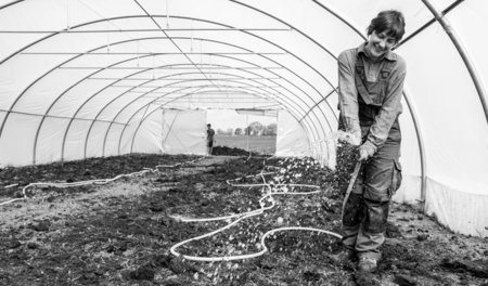 Solidarisches Gärtnern in Basta, einem zur Gemeinde Letschin geh...