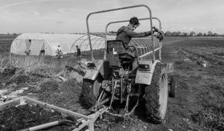 Garantiert glyphosatfrei: Solidarischer Ökolandbau in Basta, Mär...