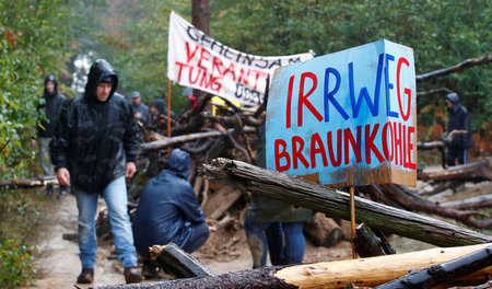 Barrikadenbau am Sonntag im Hambacher Forst: Der Wald hat mittle...