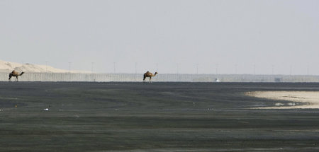 Entspannte Kamele statt 250 Millionen Passagieren: Ausbau des Fl...