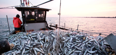 Meer nachhaltig statt exzessiv bewirtschaften: Fischkutter mit H...