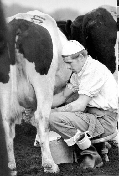 Melker bei der Arbeit, Volkseigenes Gut Dewitz (Mecklenburg-Vorp...