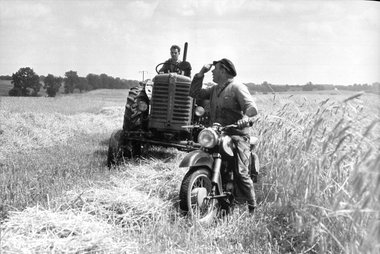 Getreideernte in den 1960er Jahren in der LPG »Frohe Zukunft« Tr...