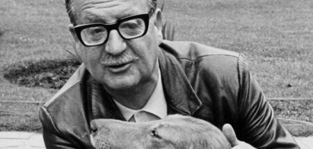 Ein Hund als Begleiter: Allende mit seinem Collie zu Beginn sein...
