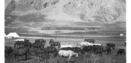 Idylle mit Pferden: Das Elburs-Gebirge in Persien
