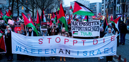 Gegen die deutsche Beteiligung am Blutvergießen in Gaza: Demonst...