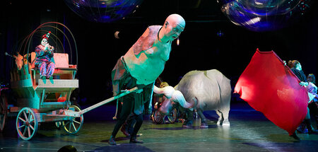 »Wenn Schönheit so ein großes Privileg war, wieso haben diese om...