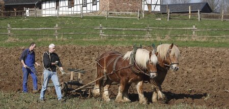 Ein Traum von einem Acker: Das Freilichtmuseum Lindlar Ein Traum von einem Acker: Das Freilichtmuseum Lindlar