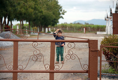 Die Landwirtschaft spielt eine entscheidende Rolle für Kubas Zuk...