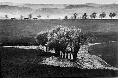 Weite Felder statt kleiner Parzellen – in Ostdeutschland die Reg...