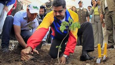 Ein Baum, der Wurzeln schlagen soll: Venezuelas Präsident Nicolá...