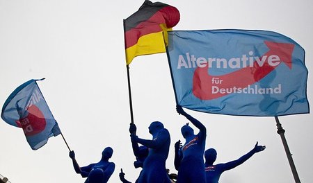 Anhänger der AfD, Berlin am 23. Mai 2014