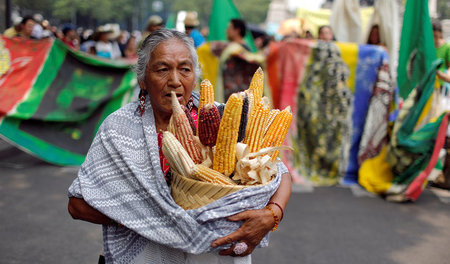 Gefährdete Vielfalt: Auf einer Kundgebung gegen Monsanto in Mexi...