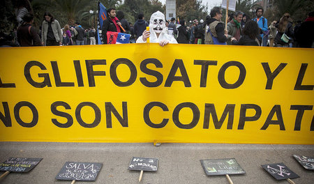 Mit Glyphosat wird vor allem der US-Saatgutmulti Monsanto in Ver...