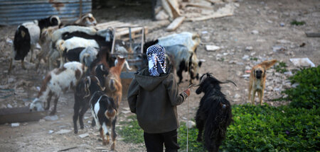 Viele ihrer Dörfer werden von Israel als illegal eingestuft: Die...