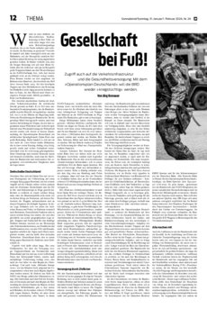 Thema als PDF-Datei