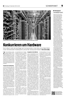 Schwerpunkt als PDF-Datei