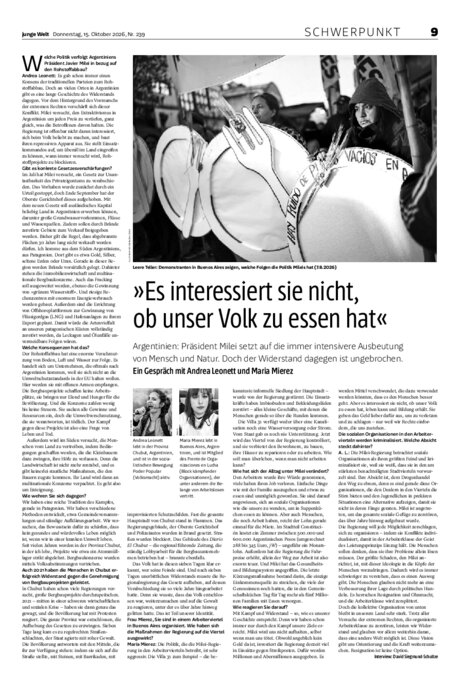Schwerpunkt als PDF-Datei