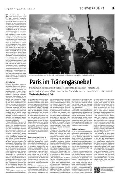 Schwerpunkt als PDF-Datei