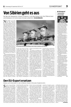 Schwerpunkt als PDF-Datei