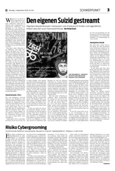 Schwerpunkt als PDF-Datei