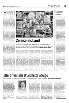 Schwerpunkt als PDF-Datei