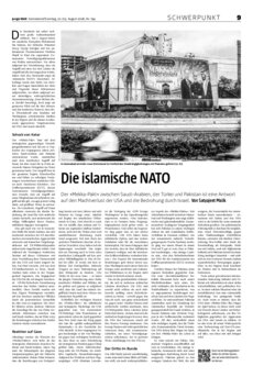 Schwerpunkt als PDF-Datei