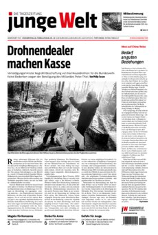 Gesamte Zeitung als PDF-Datei
