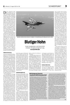 Schwerpunkt als PDF-Datei