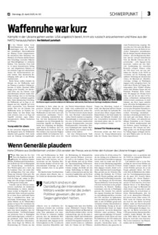 Schwerpunkt als PDF-Datei