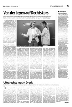 Schwerpunkt als PDF-Datei