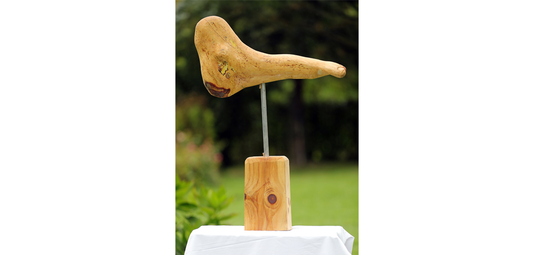 Reinhard Hoffmann, Nenkersdorf, Bild 3 »Fuß des Millionärs«, 60