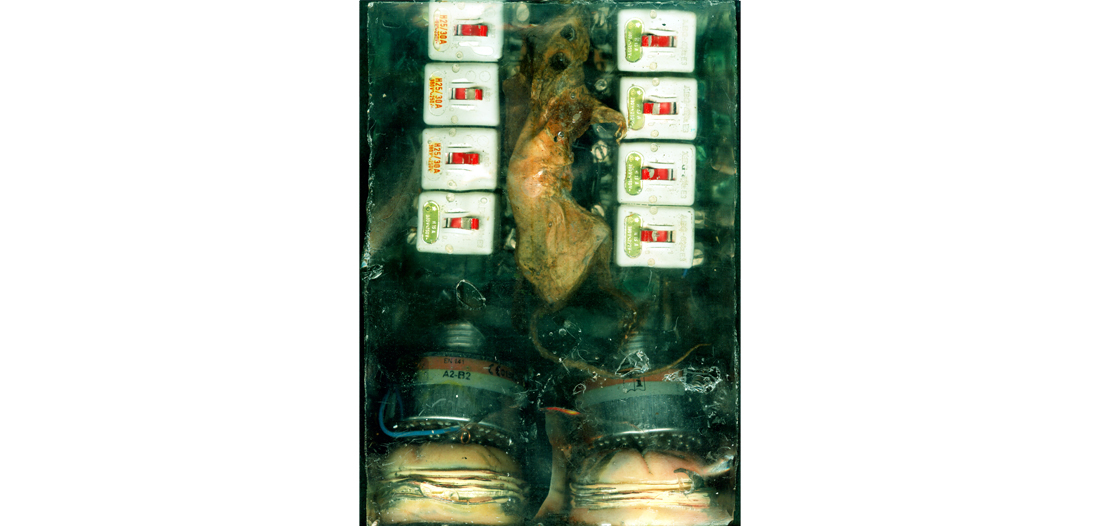 Clementine Klein, Köln, »fake-u-fakt vorne«, 10 x 20 x 30 cm, S