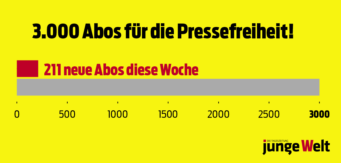 Balkendiagramm 3000 Abos 270724 1100x526.png