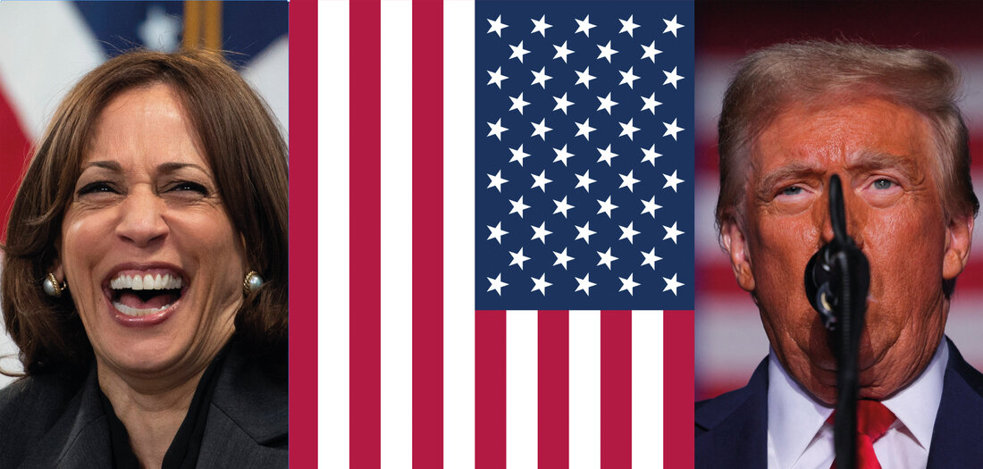 US-Wahlen: Esel oder Elefant