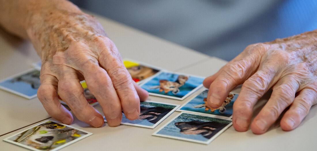 Erste Alzheimer-Therapie in EU zur Zulassung empfohlen