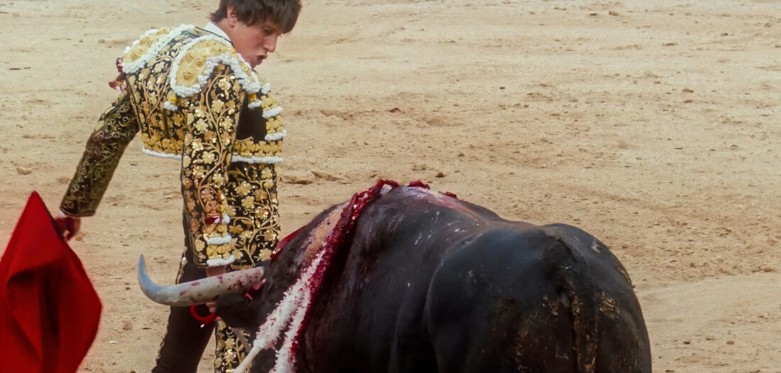 Kino: Spiegel der Tauromachie