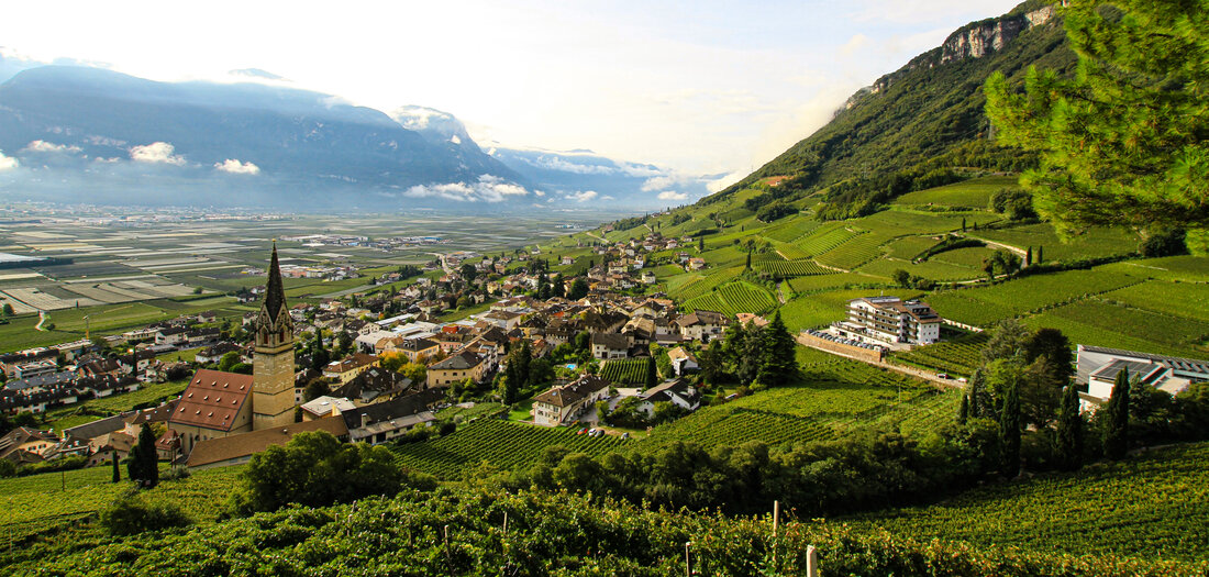 Urnengang: Wahlrückgang und Rechtsruck in Südtirol [Online-Abo]