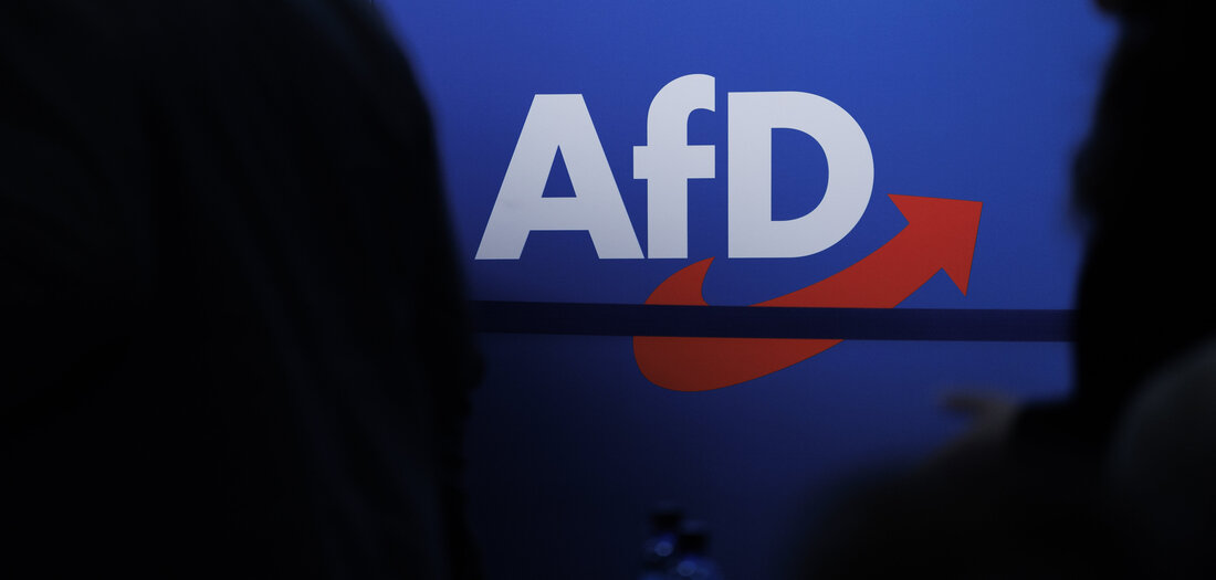 Staat und AfD: Frag den Verfassungsschutz [Online-Abo]