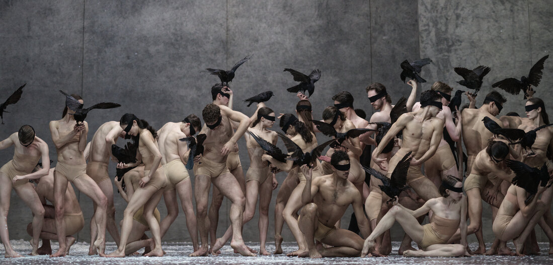 Ballett: Tagtraum [Online-Abo]