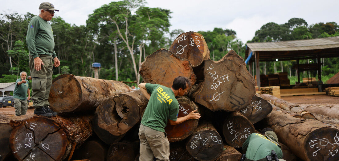 Brasilien: 453.000 Hektar Amazonas versteigert [Online-Abo]