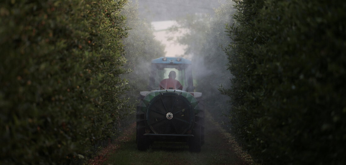 Ewigkeitspestizide: Auf Kosten von Mensch und Umwelt