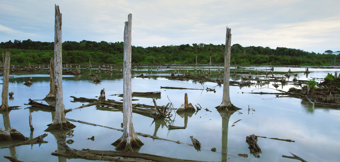 Programmtips: Vorschlag