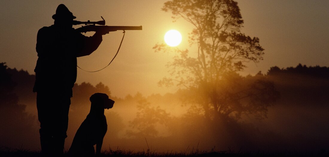 W&ouml;lfe in der BRD: Funktionieren &Ouml;kosysteme ohne Beutegreifer?