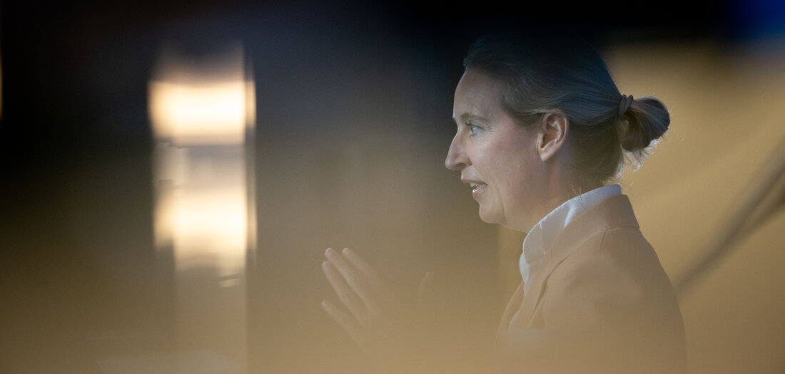 Porträt: Möchtegernregierende des Tages: AfD