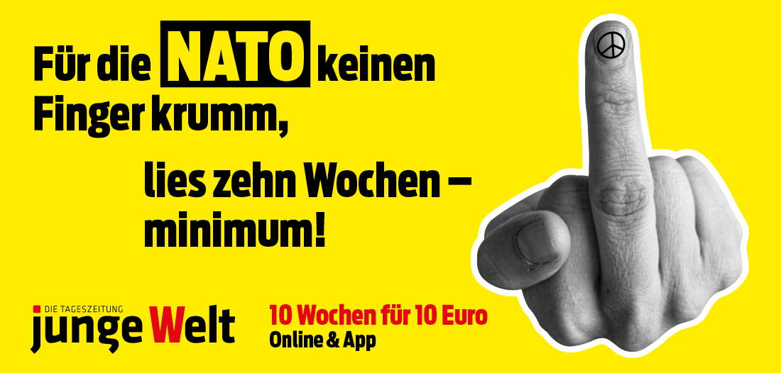Onlineaktionsabo: Stinkefinger für Kriegstreiber